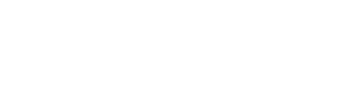 Verdem Logo Dark